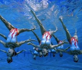 kaiyun中国-星辰与斑马，在不确定性的赛场上，所有伟大都始于一场惊艳的冒险，在星辰斑马的赛场上，伟大始于一场冒险